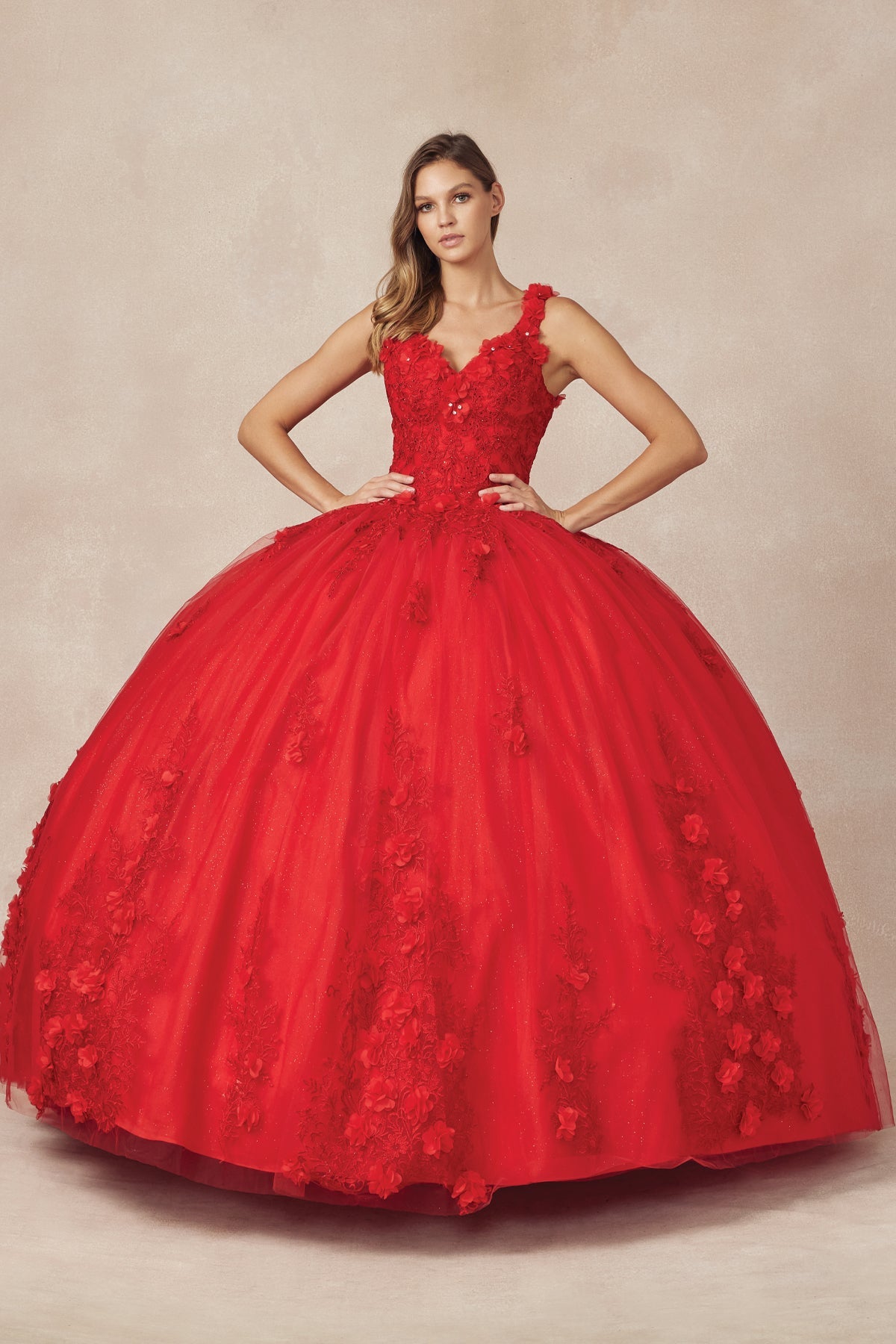 Floral Applique 3D Flowers Straps Long Quinceanera Dress JT1437-Quinceanera Dress-smcfashion.com