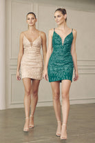 Embroidered Sequin Illusion Sweetheart Open U-Back Short Cocktail Dress JT870-Cocktail Dress-smcfashion.com