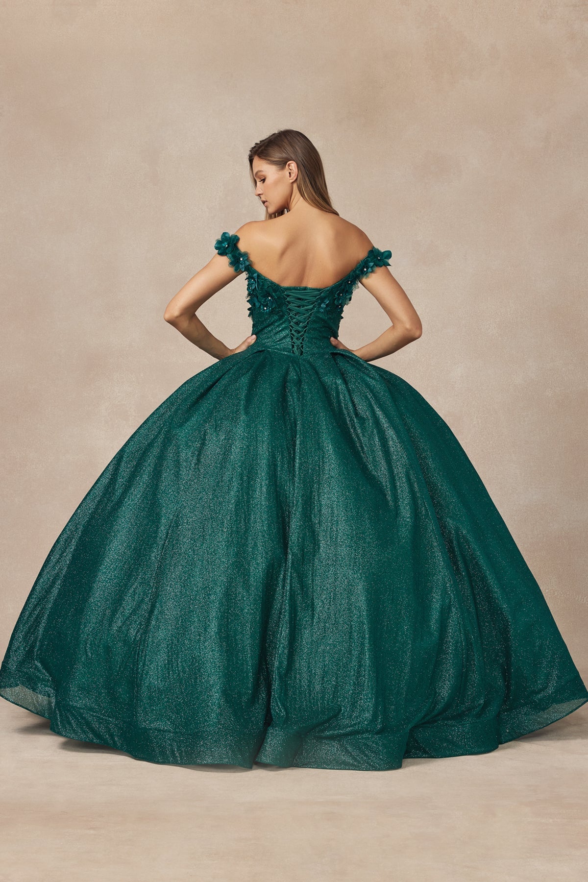 Floral Embroidered Tulle Sweetheart Long Quinceanera Dress JT1433-Quinceanera Dress-smcfashion.com