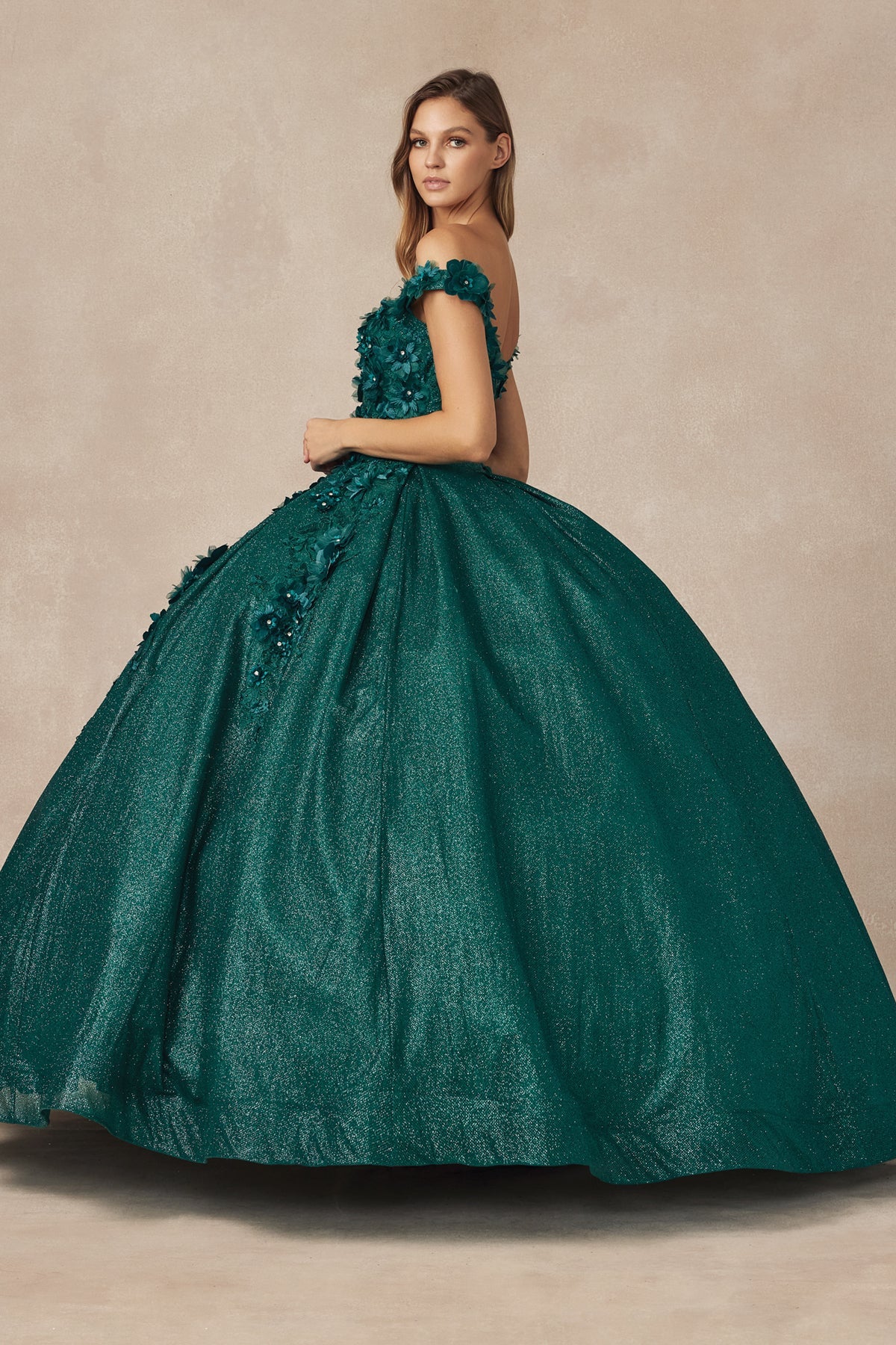 Floral Embroidered Tulle Sweetheart Long Quinceanera Dress JT1433-Quinceanera Dress-smcfashion.com