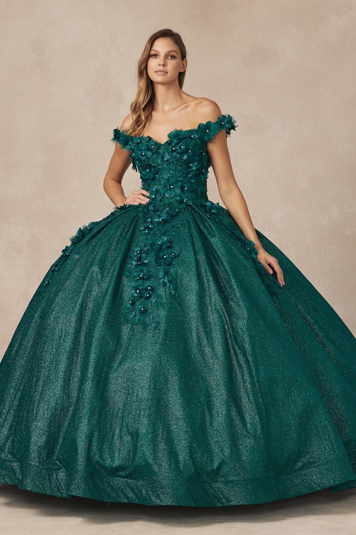 Floral Embroidered Tulle Sweetheart Long Quinceanera Dress JT1433-Quinceanera Dress-smcfashion.com