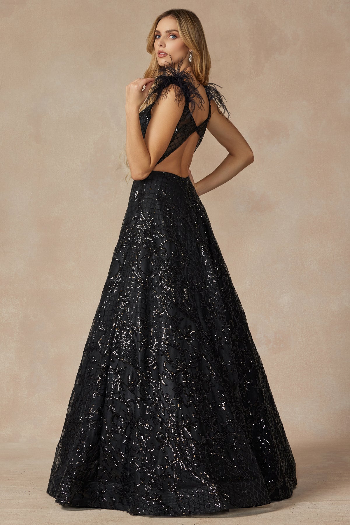 Feathered Cap Sleeve Patterned Sequin A-Line Long Prom Dress JT297-Prom Dress-smcfashion.com