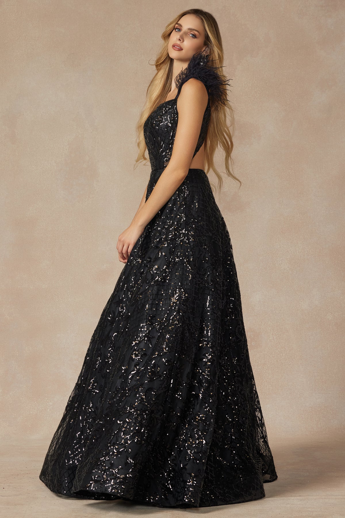 Feathered Cap Sleeve Patterned Sequin A-Line Long Prom Dress JT297-Prom Dress-smcfashion.com