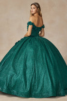 Floral Embroidered Tulle Sweetheart Long Quinceanera Dress JT1433-Quinceanera Dress-smcfashion.com
