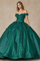 Floral Embroidered Tulle Sweetheart Long Quinceanera Dress JT1433-Quinceanera Dress-smcfashion.com