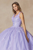 Floral Applique 3D Flowers Straps Long Quinceanera Dress JT1437-Quinceanera Dress-smcfashion.com