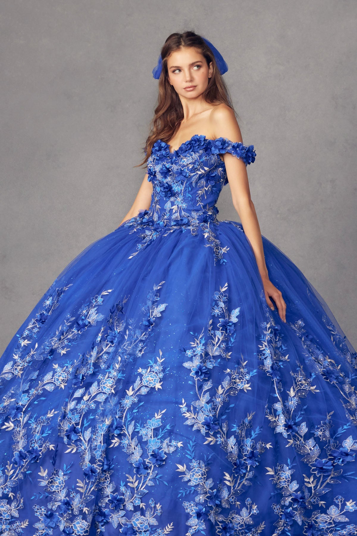 3D Floral Appliques With Off Shoulder Long Quinceanera Dress JT1447-Quinceanera Dress-smcfashion.com