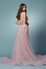 Embroidered Lace Illusion V-Neck Tulle Skirt Long Prom Dress NXF485