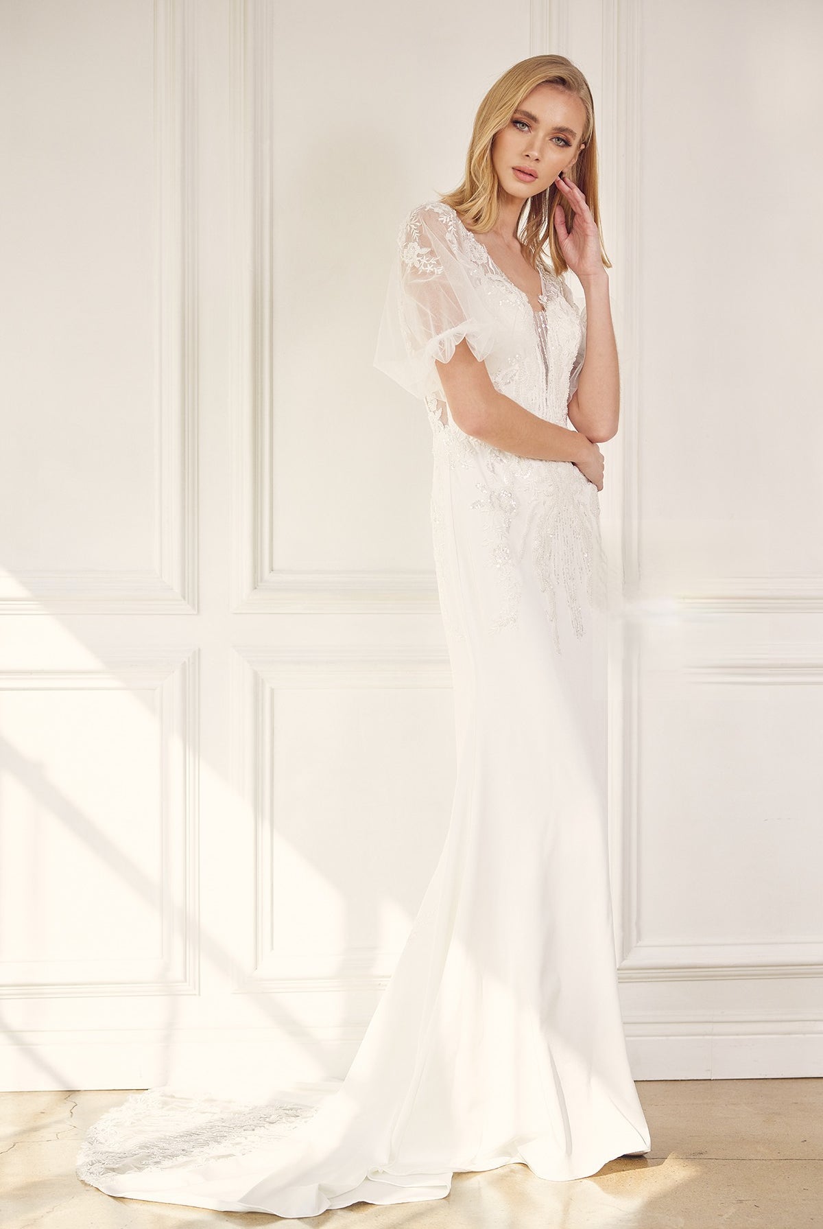 Embroidered Lace Sheer Back Tail Long Wedding Dress NXJE927-Wedding Dress-smcfashion.com