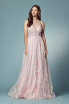 Embroidered Lace Illusion V-Neck A-Line Long Prom Dress NXT1009-Prom Dress-smcfashion.com