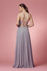 Sleeveless Tulle Simple V-Neck Chiffon Long Bridesmaid Dress NXR416