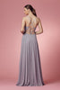 V-Neck Chiffon Plus Size Long Bridesmaid Dress NXR416P