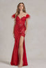 Off Shoulder Embellished Feather Illusion Sweetheart Long Prom Dress NXS1229