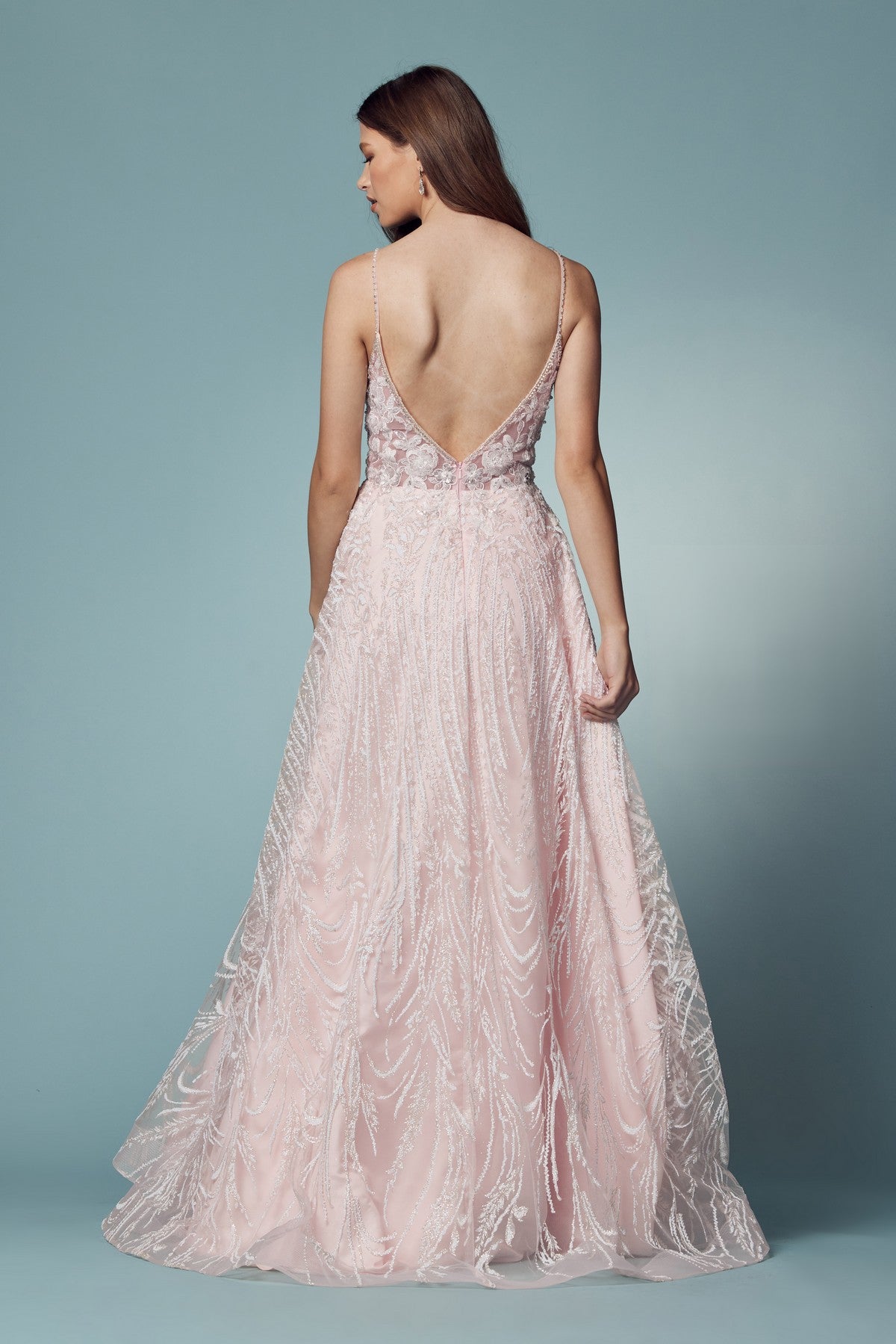 Embroidered Lace Illusion V-Neck A-Line Long Prom Dress NXT1009-Prom Dress-smcfashion.com