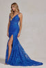 Side Slit Embroidered Lace Bodice Open V-Back Long Prom Dress NXC1100