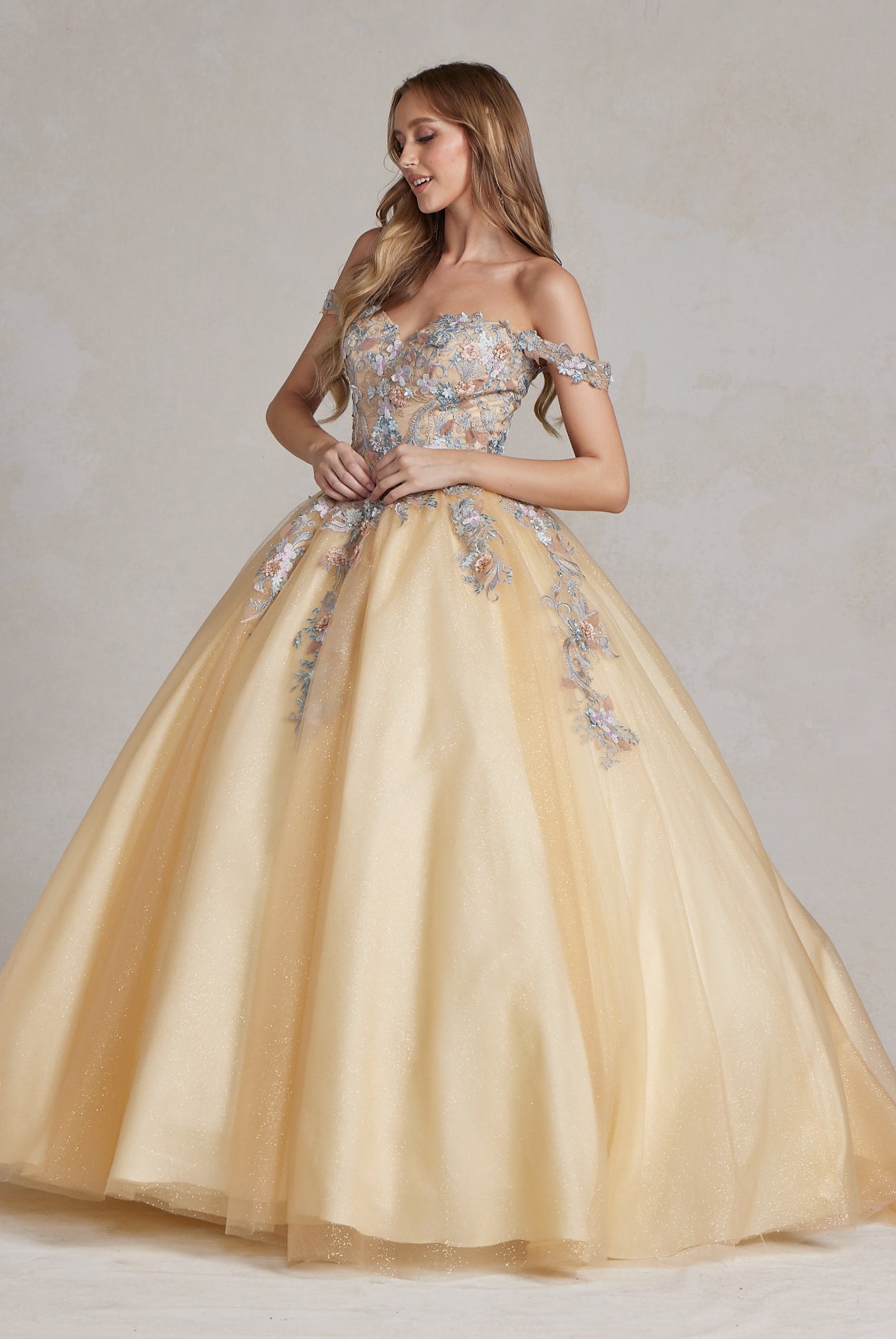 Off Shoulder Embroidered Lace Bodice Long Quinceanera Dress NXJU809-Quinceanera Dress-smcfashion.com