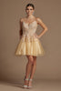 Illusion V-Neck Embroidered Lace Babydoll Short Homecoming & Cocktail Dress NXR707 Sale