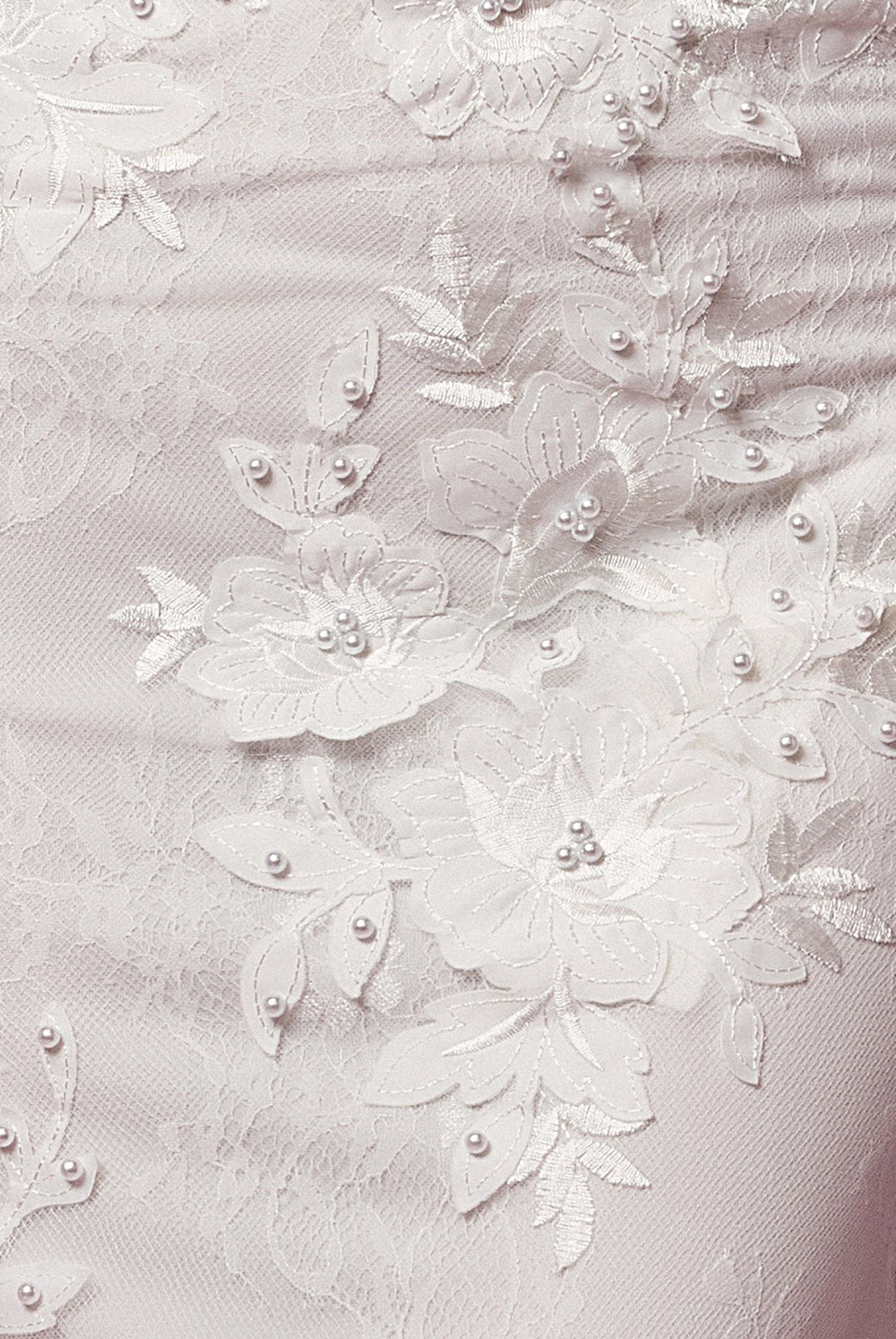 Lace & Beads Embroidered Mermaid Long Wedding Dress NXF485W-Wedding Dress-smcfashion.com