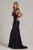 Mermaid Satin Embellished Feather Open Back Long Prom Dress NXT1138