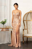 Glitter Embellished Mesh Mermaid Dress Jewel Embellishment and Detached Layer GLGL3004