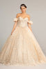Jewel Embellished Mesh Quinceanera Ball Gown 3-D Applique and Corset GLGL3019