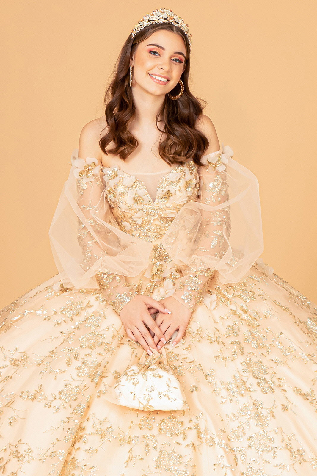 Mesh Long Sleeves Quinceanera Dress Detachable Ribbon and Mini Bag GLGL3071-QUINCEANERA-smcfashion.com