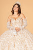 Mesh Detachable Long Sleeves Quinceanera Dress Detachable Ribbon and Ruffled Train GLGL3072