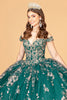 Embroidered Off Shoulder Mesh Quinceanera Dress Separate Long Sleeves GLGL3074