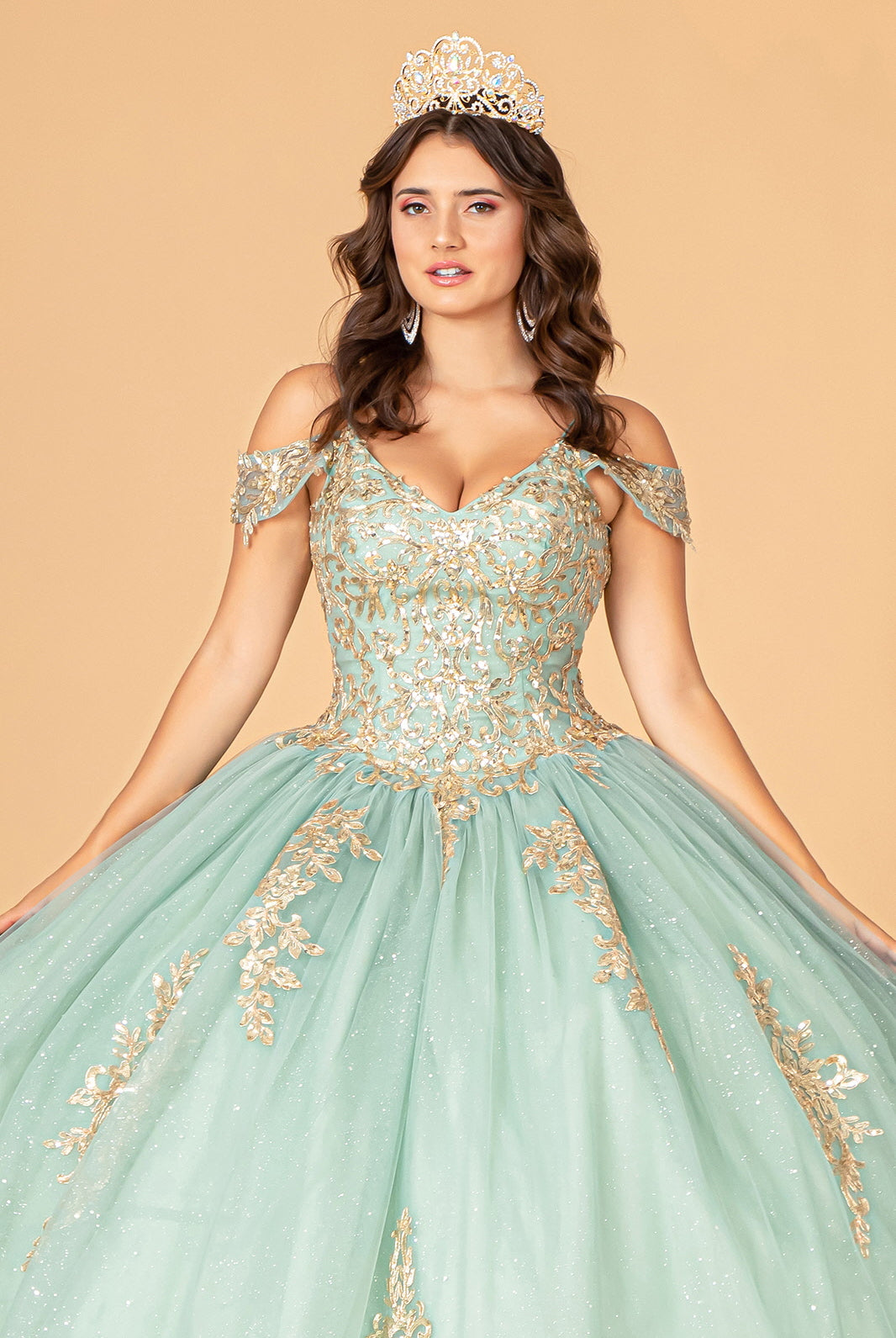 Gold Embroidered Mesh Quinceanera Ball Gown Corset Back GLGL3100-QUINCEANERA-smcfashion.com