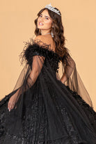 Mesh Quinceanera Dress Side Mesh Drape and Detachable Feather Embellishment GLGL3101-QUINCEANERA-smcfashion.com