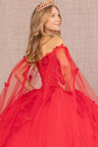 3D Butterfly Applique Glitter Quinceanera Gown Long Mesh Layer GLGL3110-QUINCEANERA-smcfashion.com