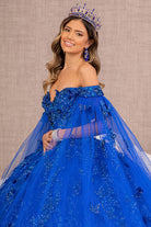 Embroidery Glitter Quinceanera Gown Long Mesh Layer GLGL3111-QUINCEANERA-smcfashion.com