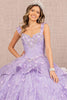 Jewel 3D Butterfly Applique Off Shoulder Mesh Quinceanera Gown GLGL3112