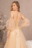 Sequin Glitter Sheer Bodice Illusion Sweetheart A-line Mesh Dress GLGL3118