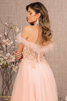 Embroidery Sheer Front Mesh A-line Dress Feather Embellishment GLGL3138-PROM-smcfashion.com