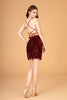 Velvet Sequin Bodycon Short Dress Side Slit GLGS3084