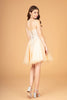 3-D Flower Jewel Mesh Short Babydoll Dress Corset Back GLGS3094