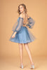 Sheer Bodice Glitter Short Dress Detachable Mesh Long Sleeves GLGS3095