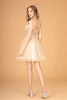 Illusion Sweetheart Mesh Babydoll Short Dress Sheer Bodice GLGS3096