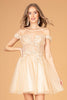 Illusion Sweetheart Mesh Babydoll Short Dress Sheer Bodice GLGS3096